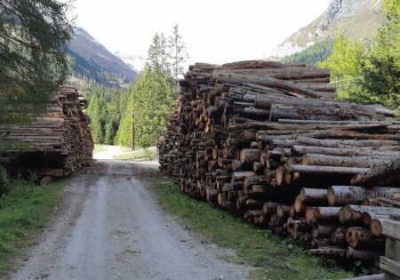 Holzverarbeitung © Gradonna Mountain Resort Osttirol 