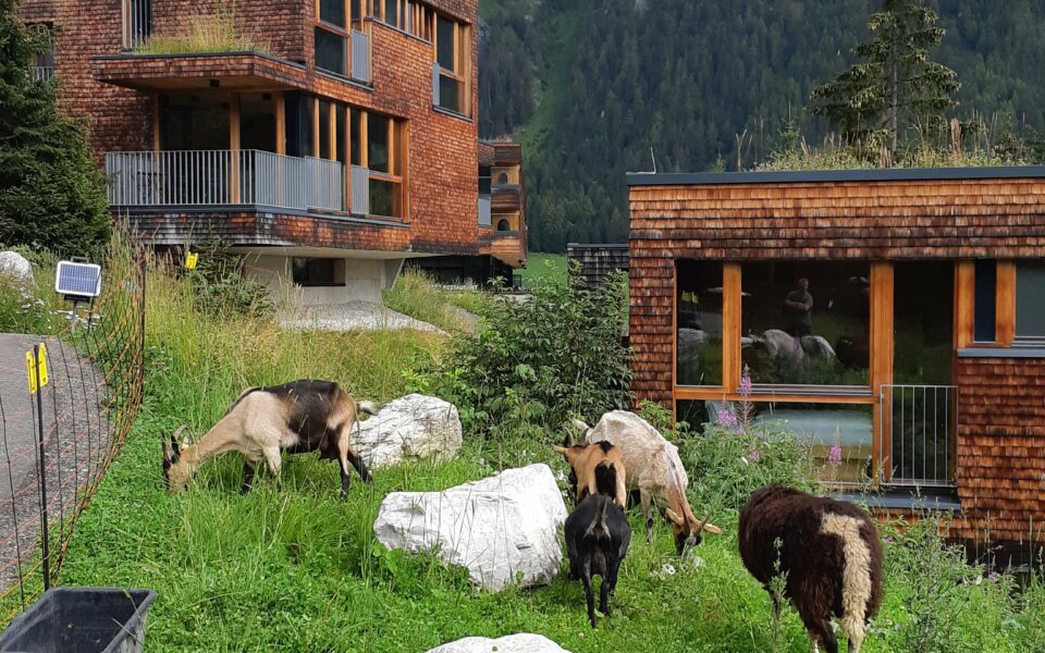 Hotel Ziegen © Gradonna Mountain Resort Osttirol 